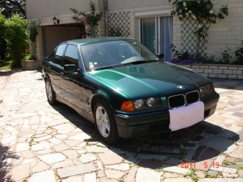 BMW Serie 3  Vert Essence occasion france de LIMOUSIN