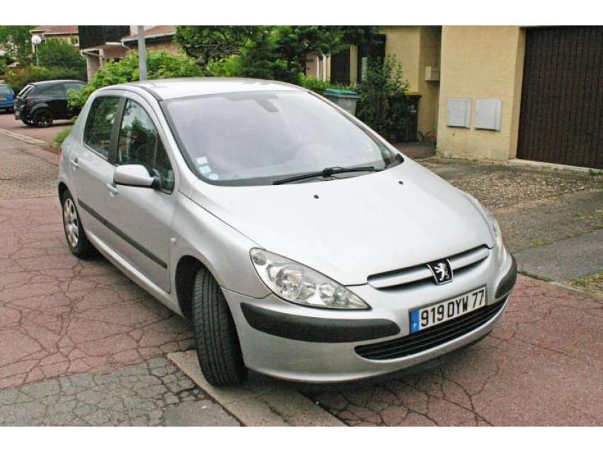 Peugeot 307 occasion Gris clair - 27583