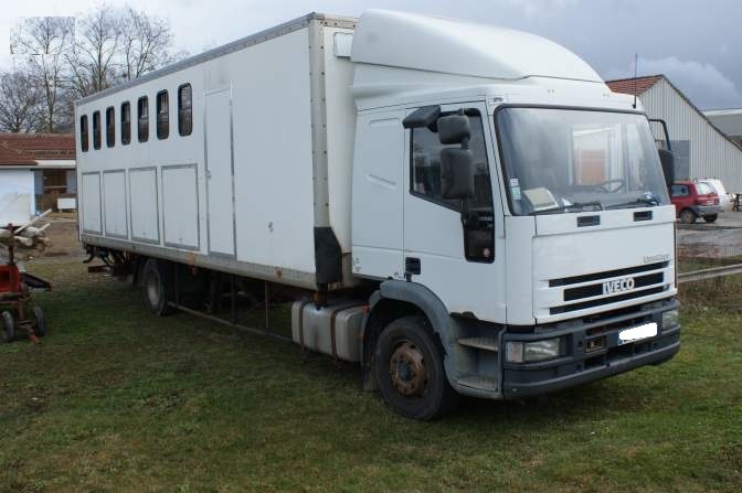 Iveco Daily occasion Gris fonc - 37375